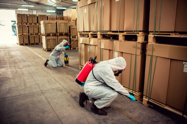 Best Best Pest Control Companies  in Central Point, OR
