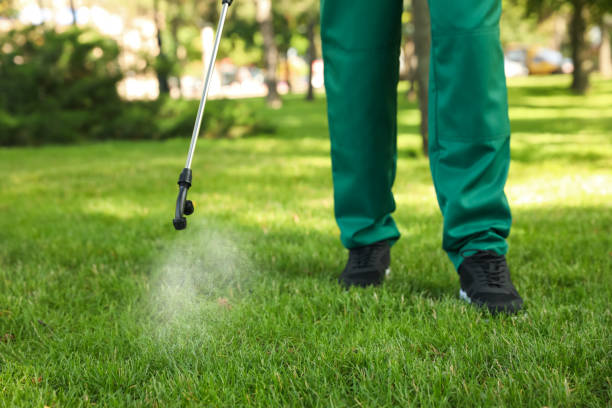 Best Ant Control Services  in Central Point, OR