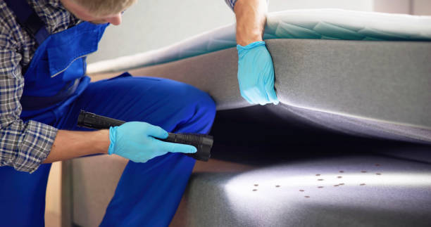 Best Pest Removal Services  in Central Point, OR