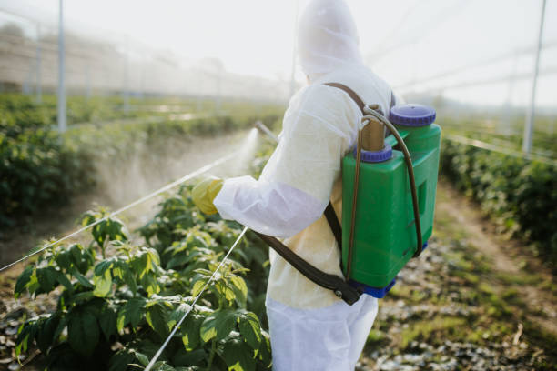 Professional Pest Control in Central Point, OR